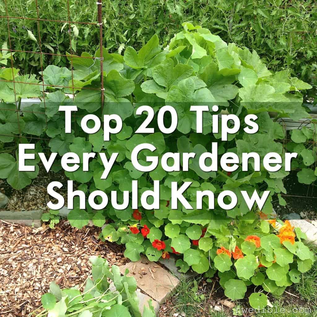 Top 20 Garden Tips