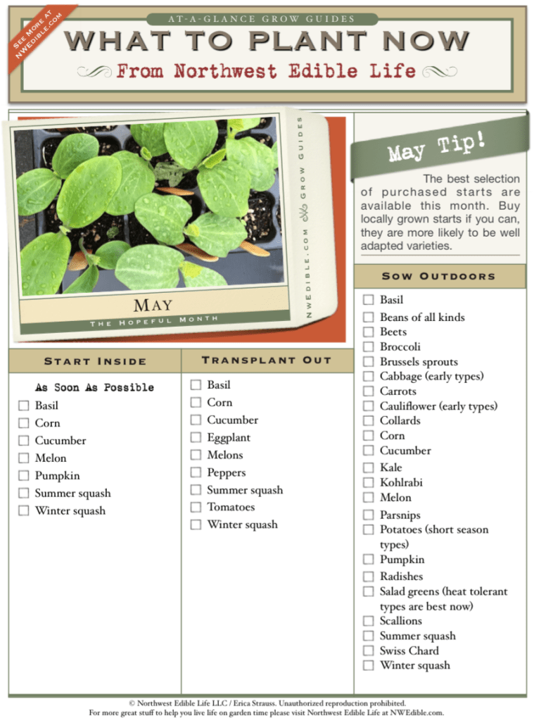 What To Plant Now At A Glance May