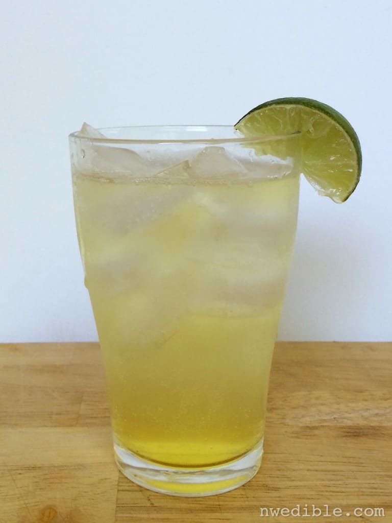 DIY Tonic Water53