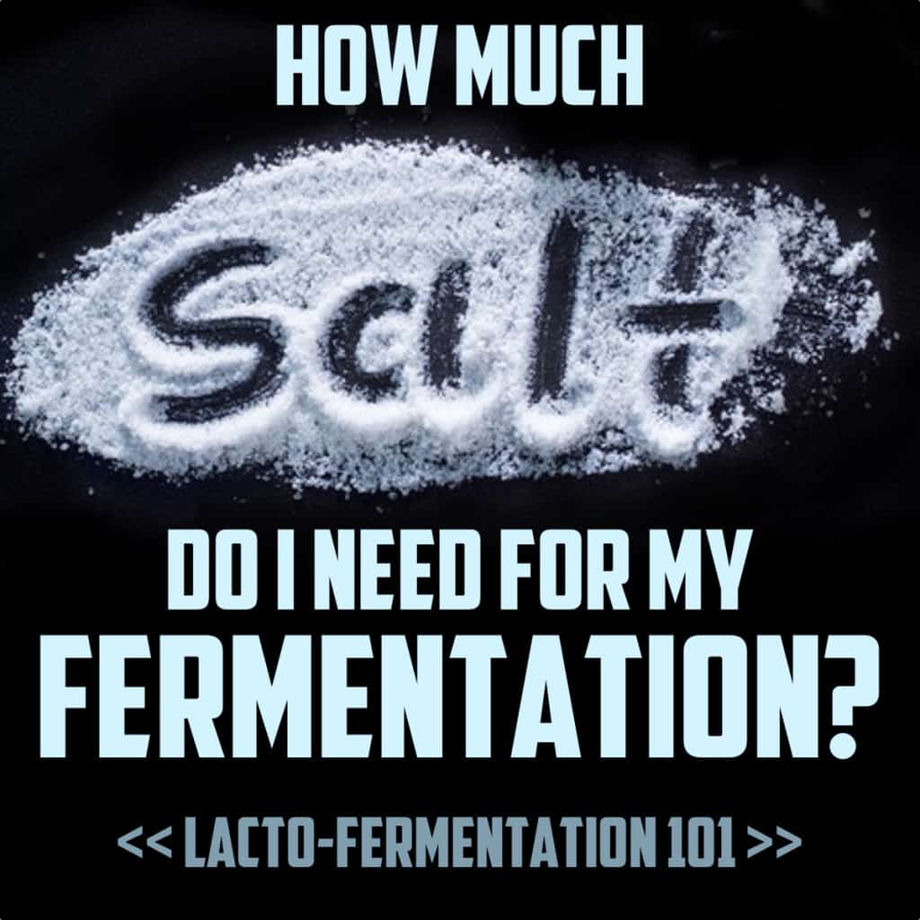 How Much Salt For Fermentation