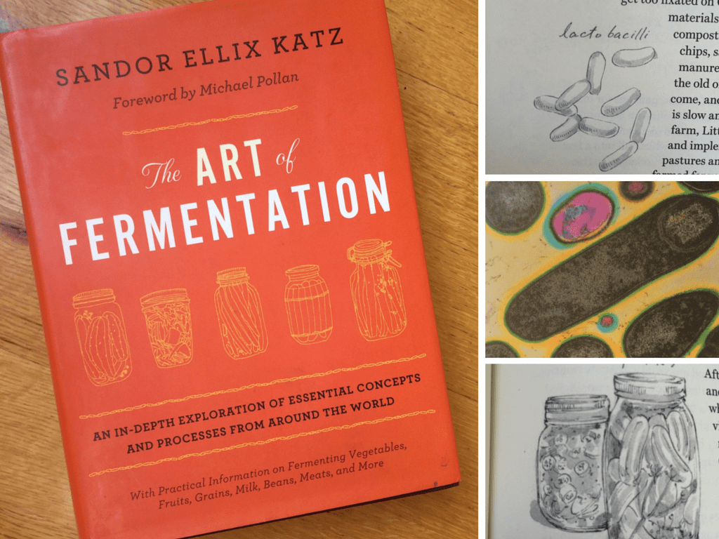 Art-Fermentation-Katz