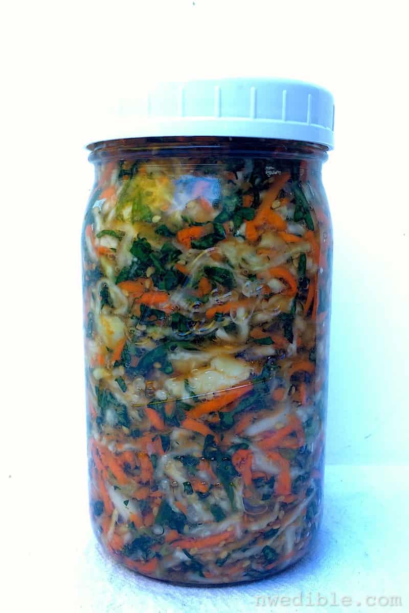 Fermentation Condiments929