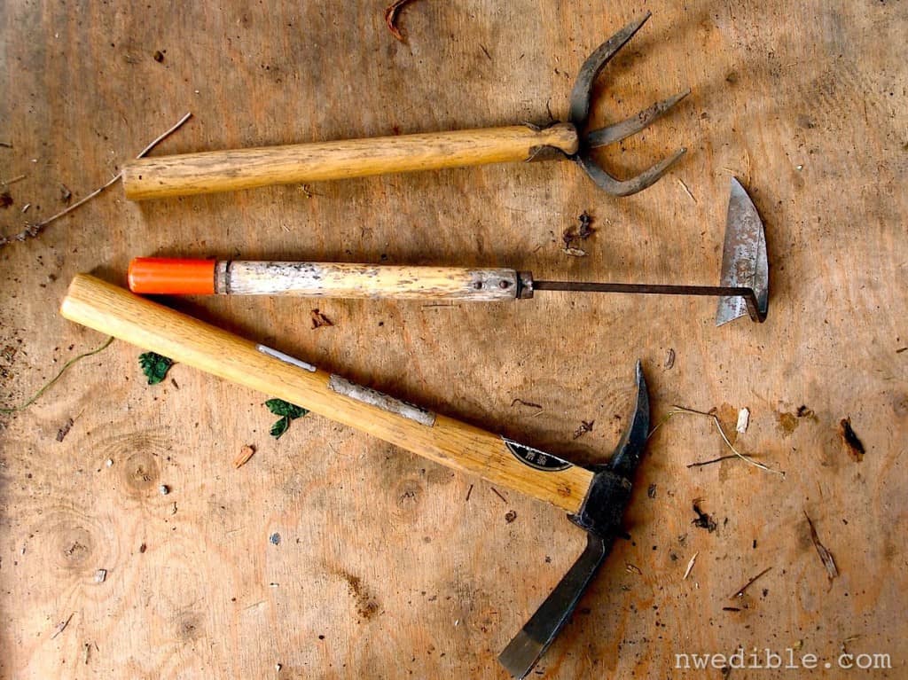 japanese-hand-tools