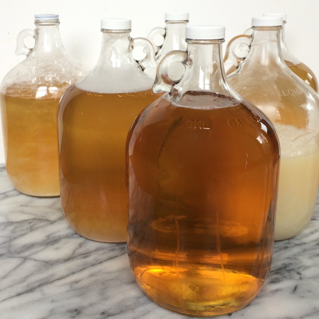 DIY Liquid Castile Soap-image