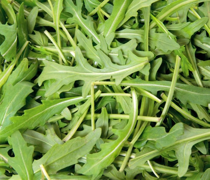 Arugula