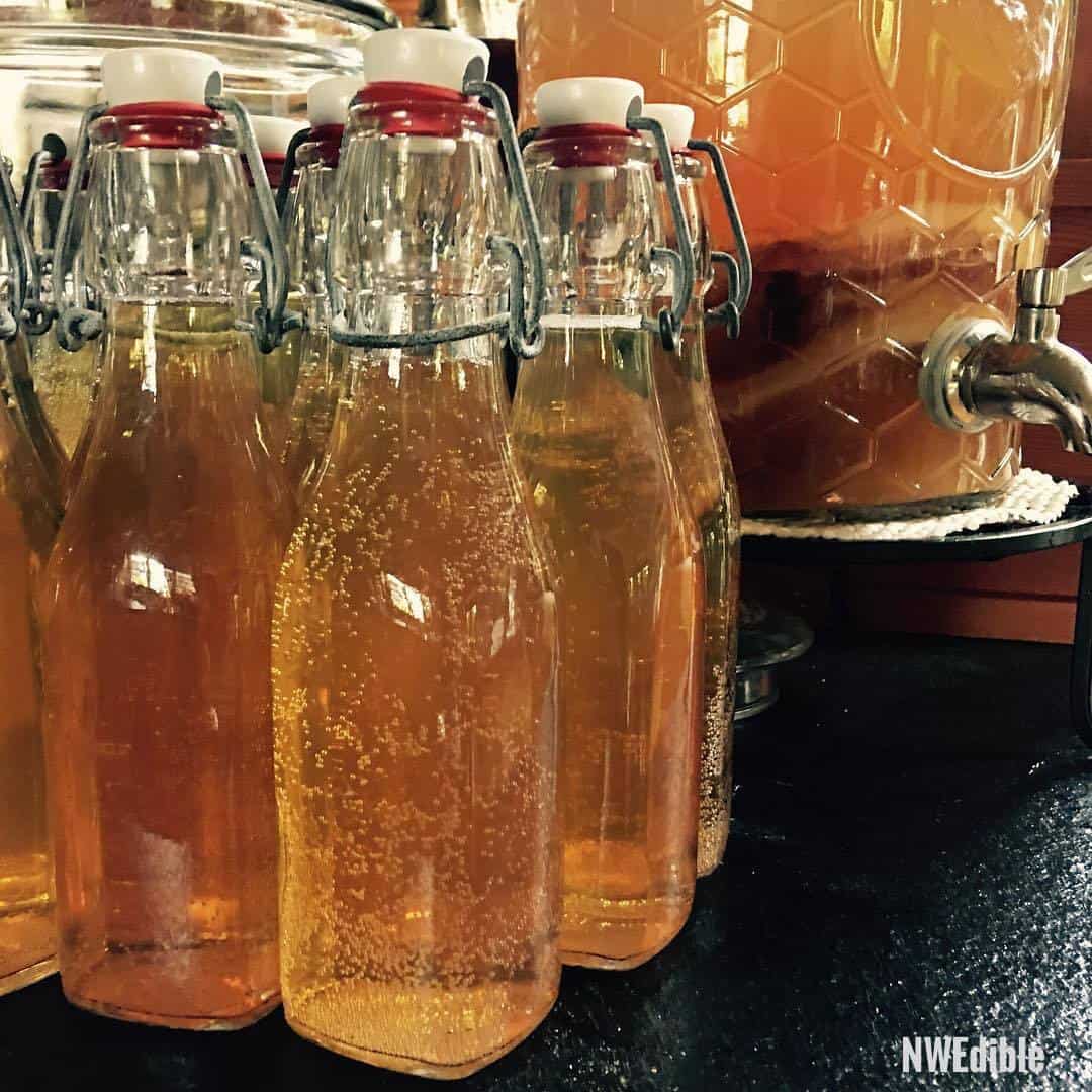 Kombucha