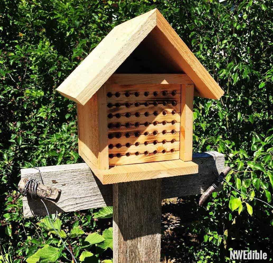 Mason Bee House