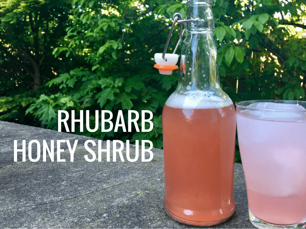 Rhubarb Honey Shrub
