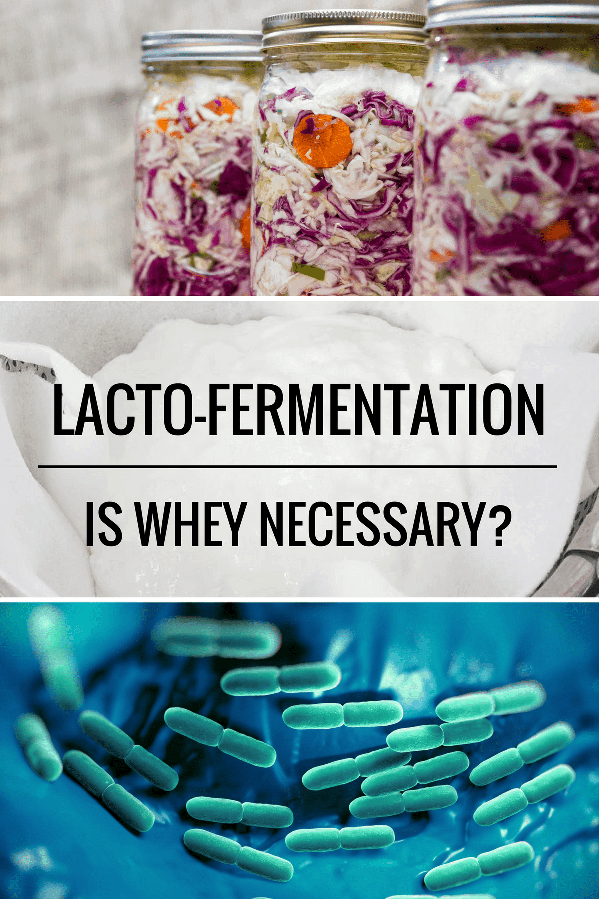 Lacto Fermentation Is Whey Necessary