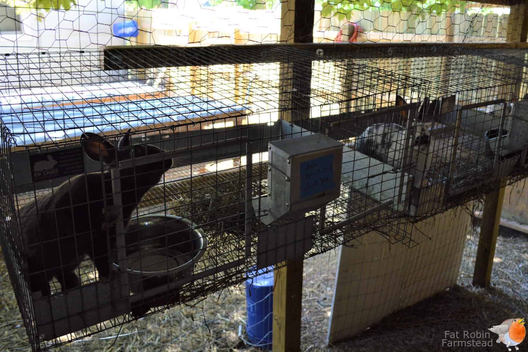 Rabbit Keeping Cages picture of some hanging cages