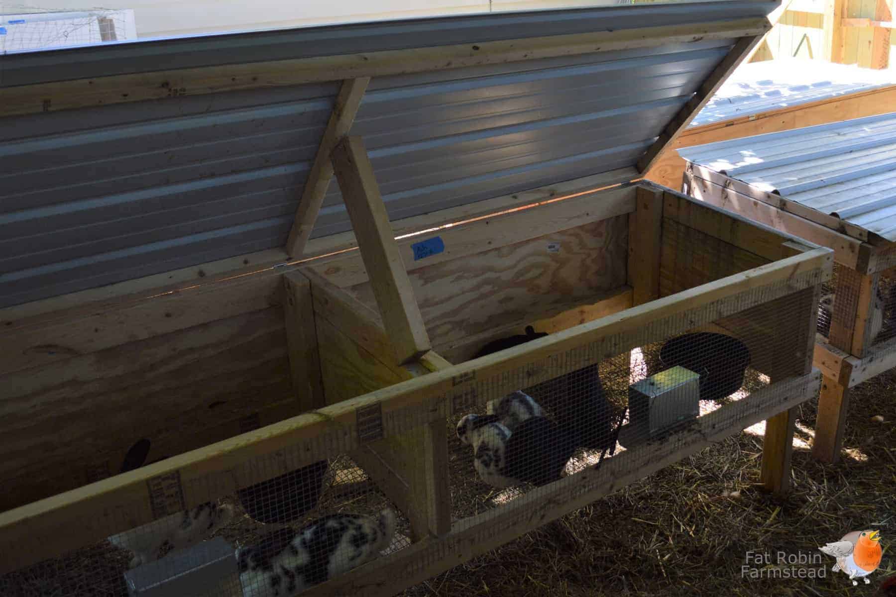 Rabbit Keeping picture of the hutches I designed and built