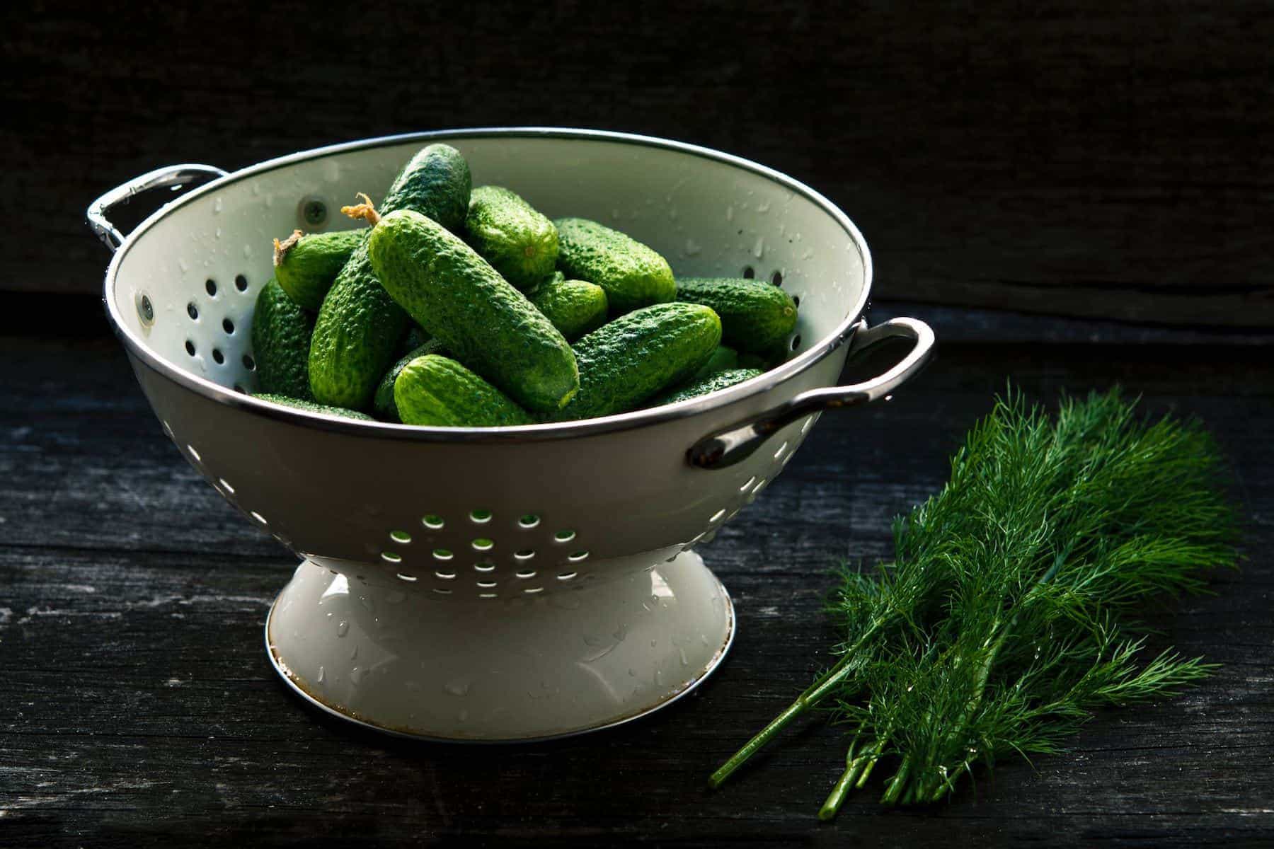 jonathan-pielmayer-pickling-cucumber