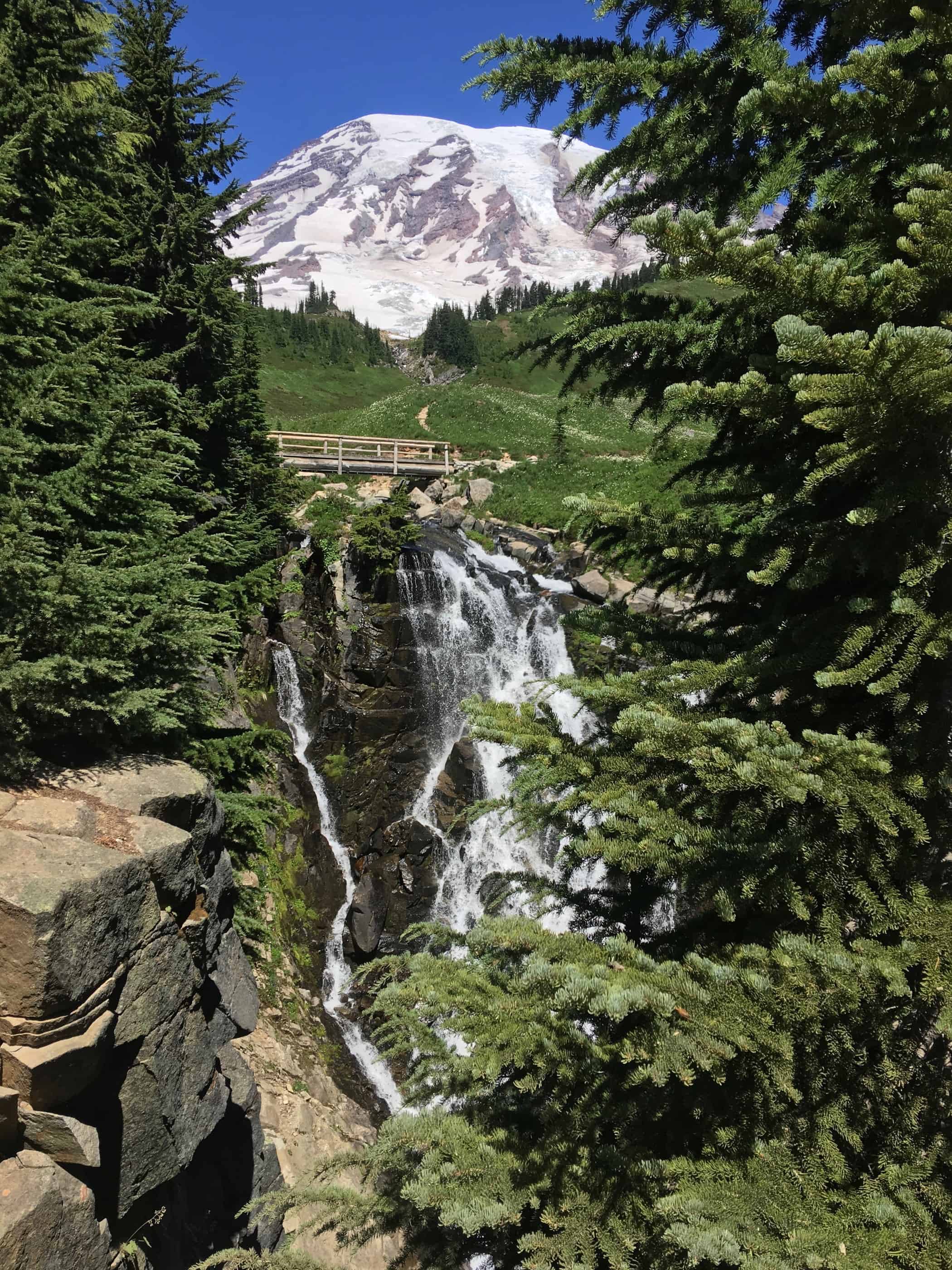 Mt Rainier Camping