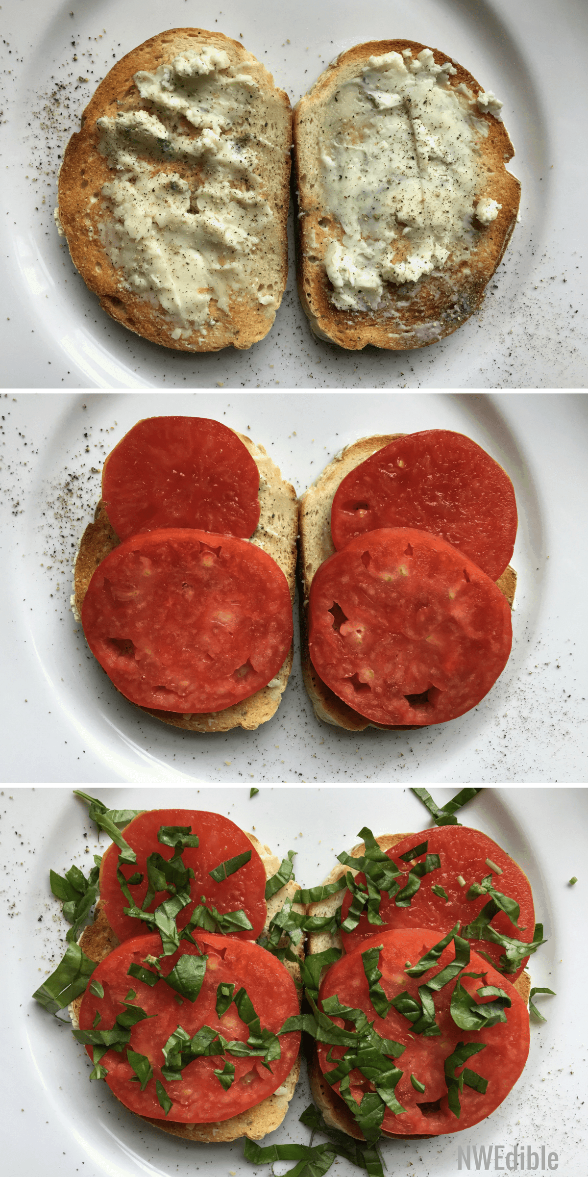 Tartine Blue Cheese Tomato