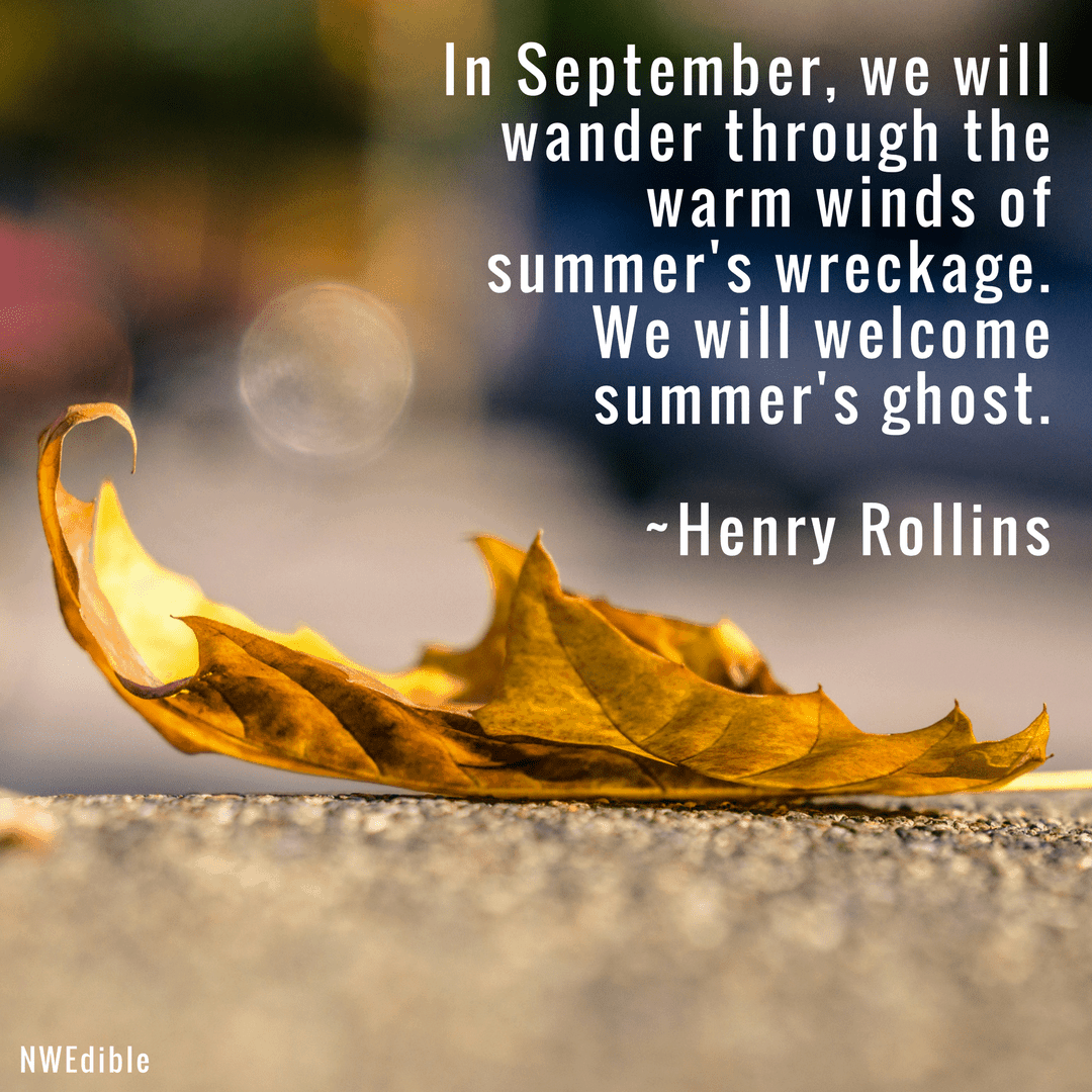 In September, we will wander through the warm winds of summer's wreckage. We will welcome summer's ghost. Henry Rollins