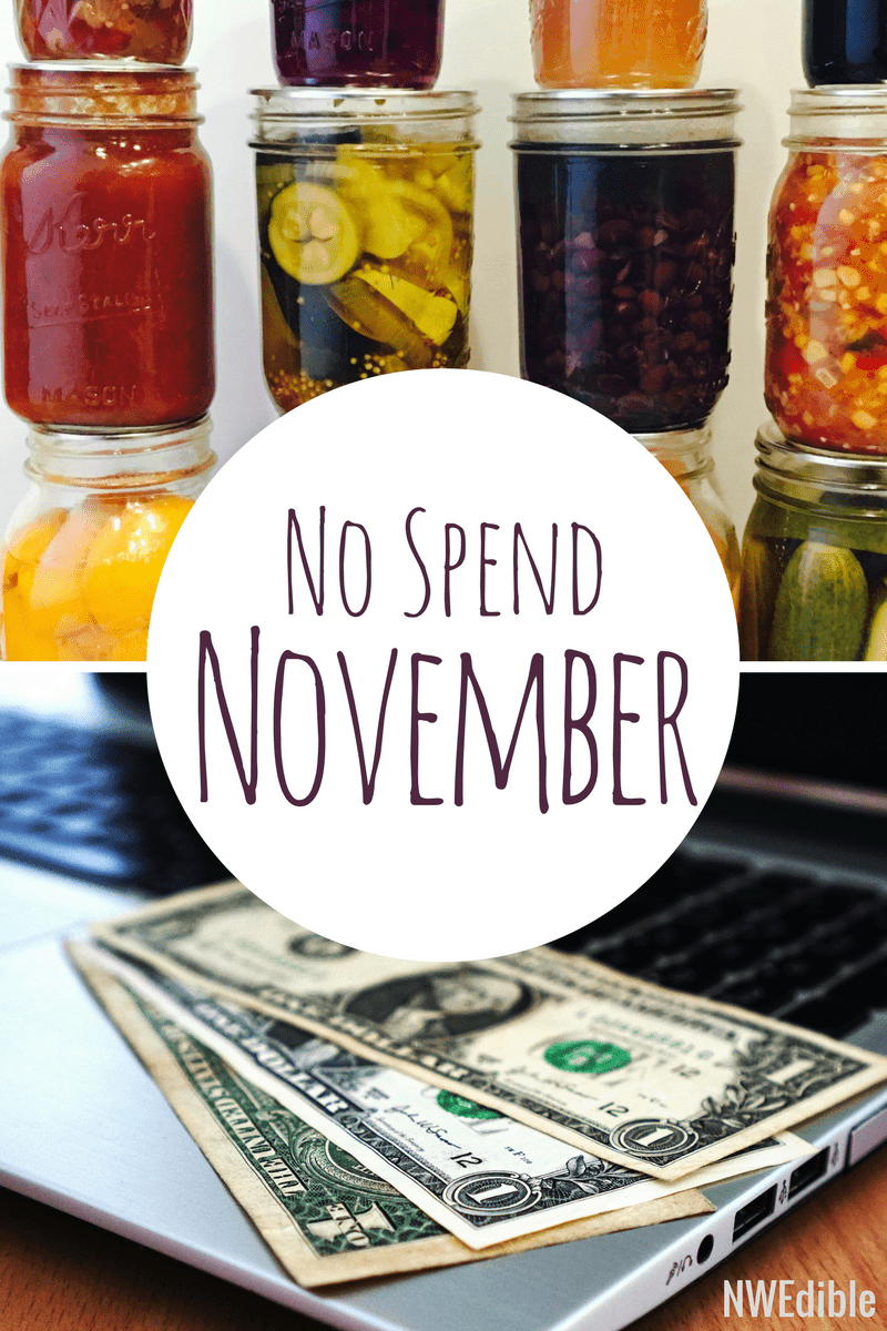 No Spend November 2017