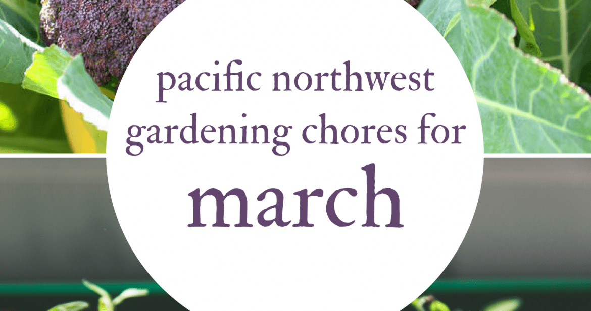 March Gardening Cs For The Pacific
