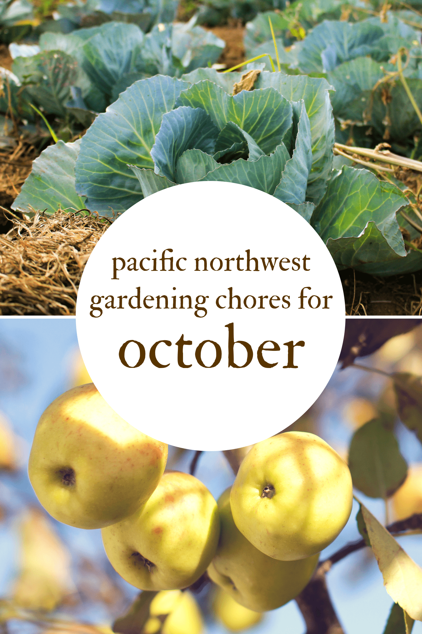 October Gardening Chores For The Pacific Northwest | Northwest Edible Life