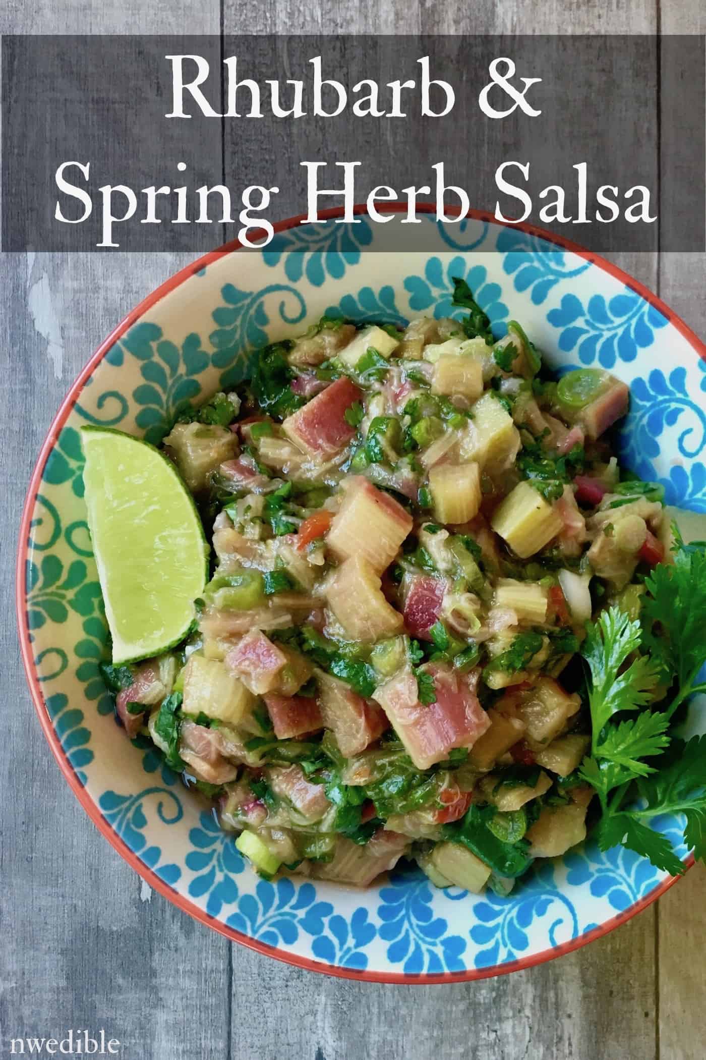 Rhubarb and Spring Herb Salsa | Northwest Edible Life