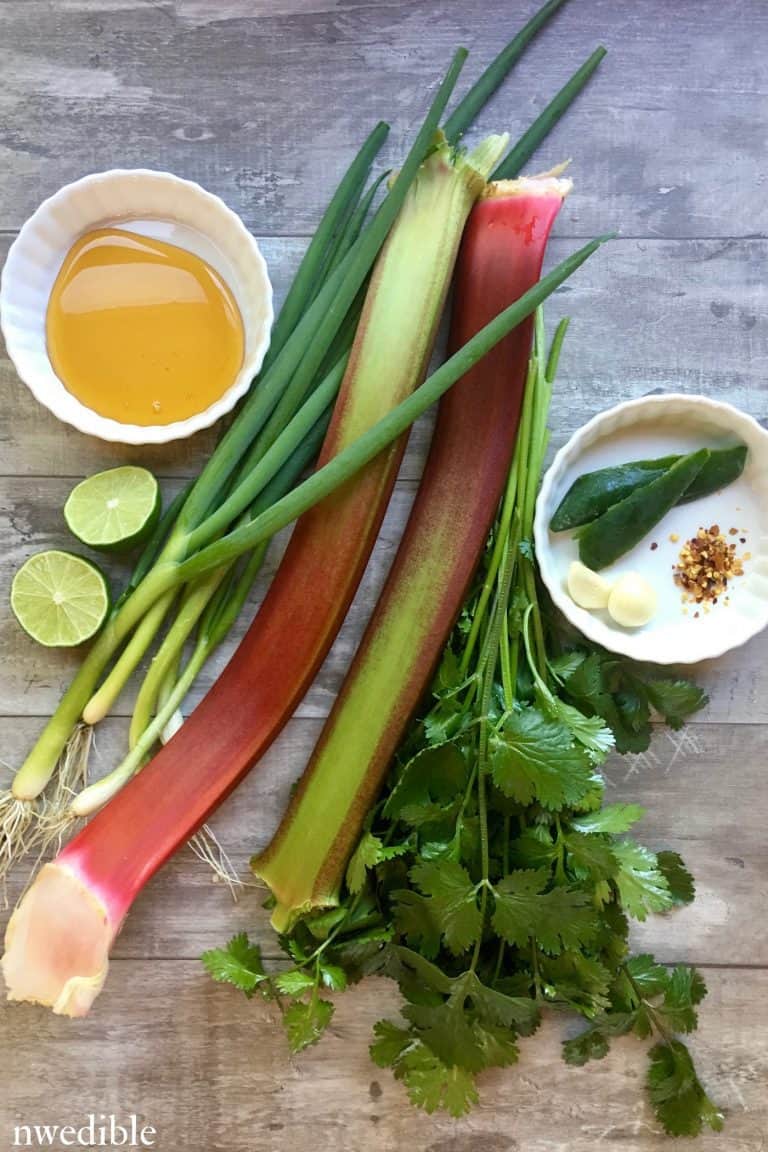 Rhubarb and Spring Herb Salsa | Northwest Edible Life